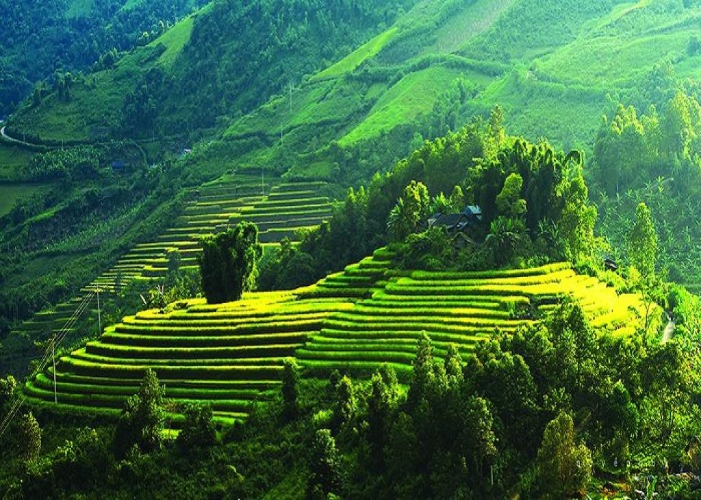 Khách sạn Mộc Châu
